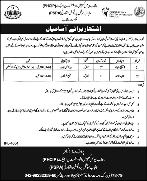 Jobs in Punjab Human Capital Investment Project Lahore
